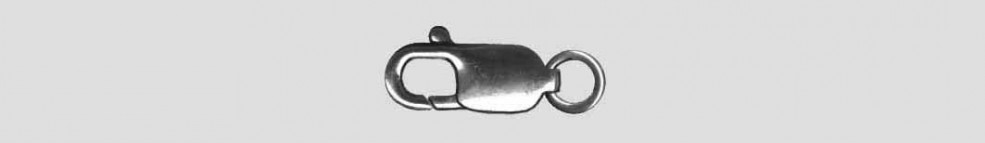 Clasp n.a.