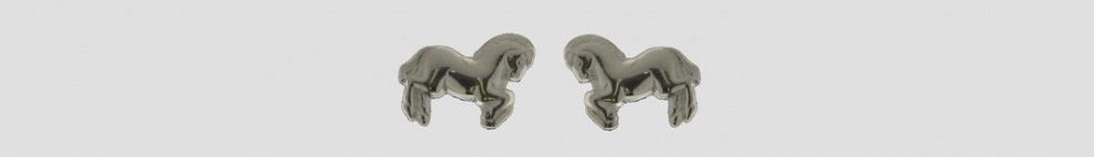 Earring Stud