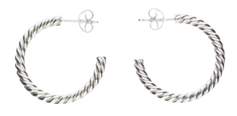 Earring ear hoops