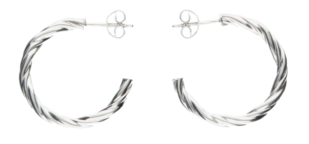 Earring ear hoops