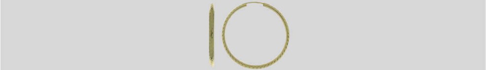 Ohrschmuck Creole 2,5 mm