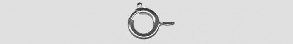 Spring-ring n.a. 10.0mm