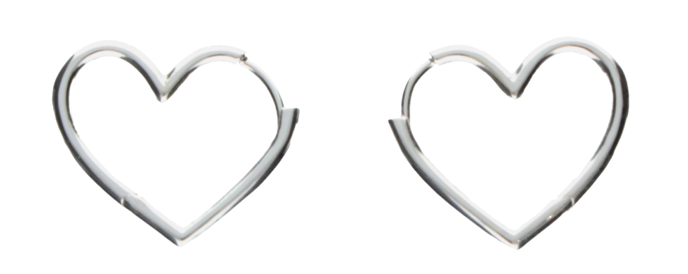 Earring ear hoops