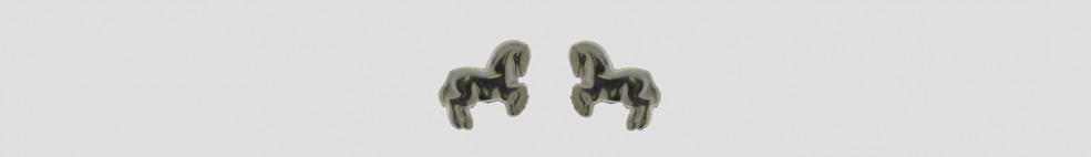 Earring Stud