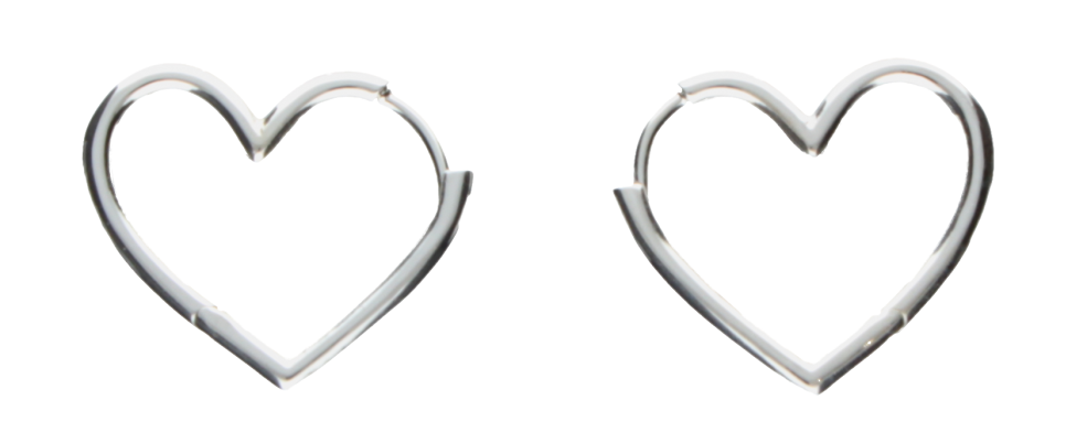 Earring ear hoops