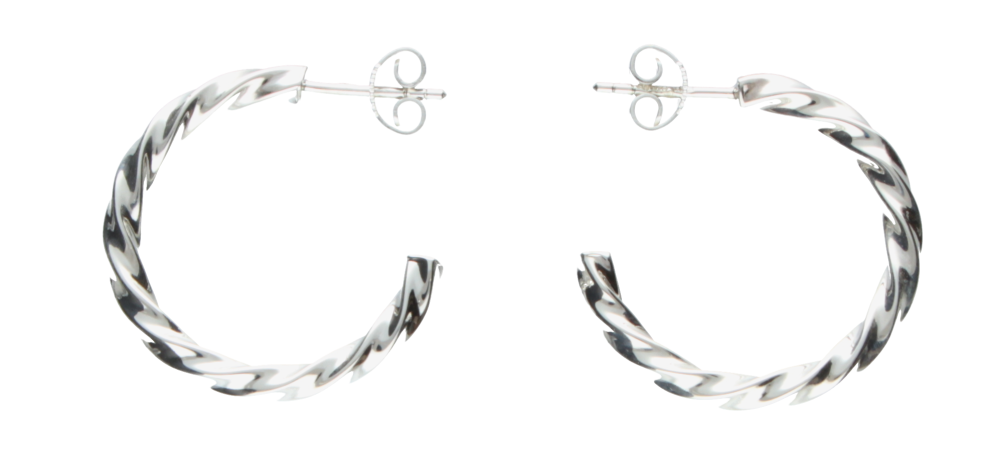 Earring ear hoops