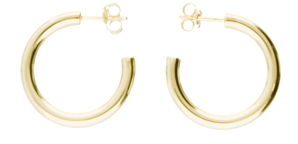 Earring ear hoops