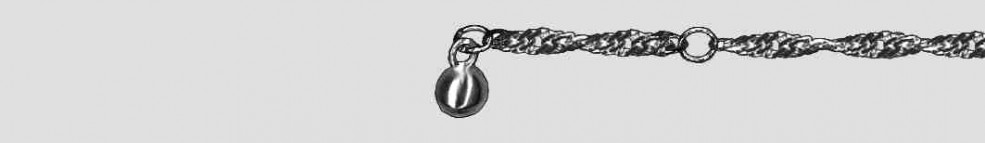 Ankle chain Singapore chain width 2.4mm