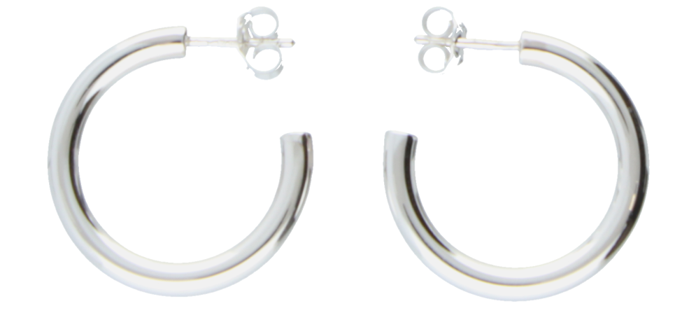 Earring ear hoops