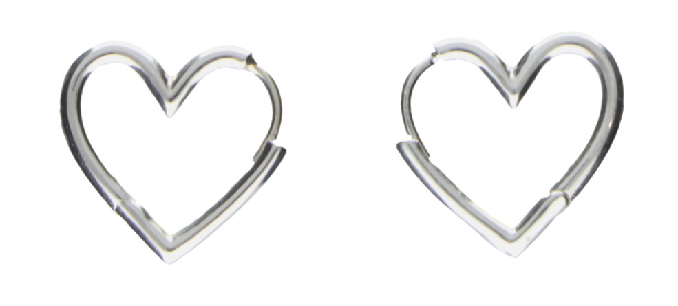 Earring ear hoops