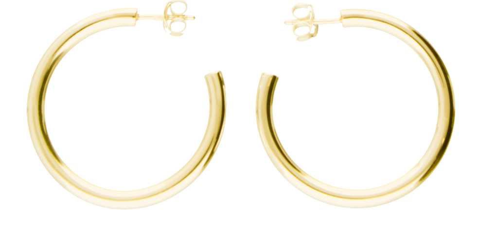 Earring ear hoops