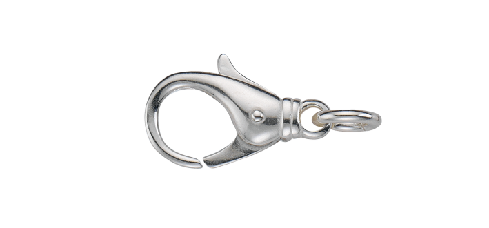 Clasp n.a.