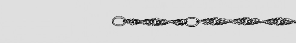 Fusskette Singapur Kettenbreite 2.4mm